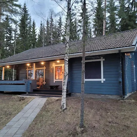 Lakeland Karelia Puutikka 公寓