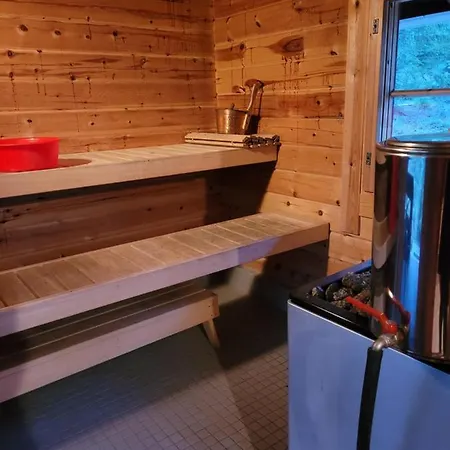 Lakeland Karelia Puutikka 公寓